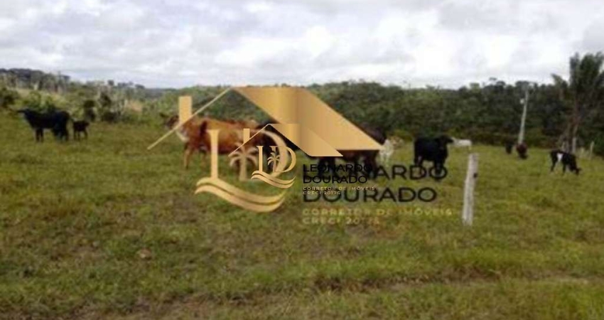 Fazenda à venda na Cabrália, Centro, Santa Cruz Cabrália