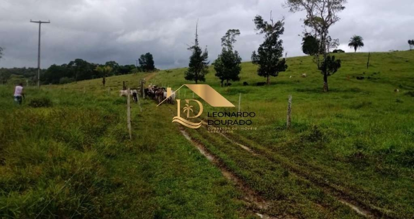 Fazenda à venda na Ilhéus, Centro, Ilhéus