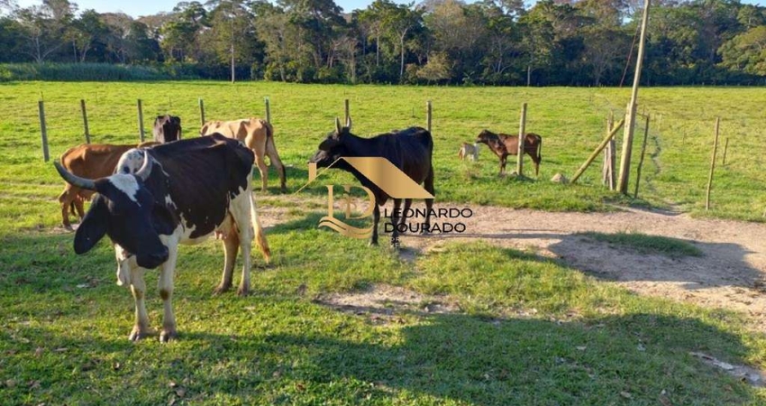 Fazenda com 3 salas à venda na PORTO SEGURO, Centro, Porto Seguro