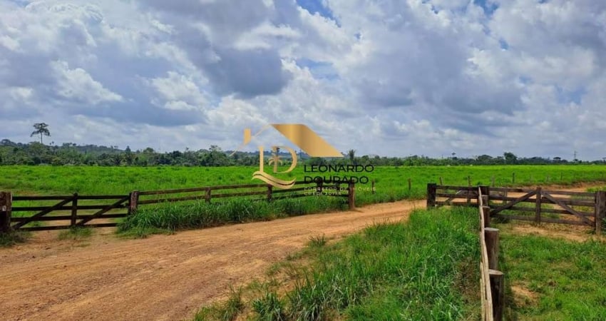 Fazenda com 20 salas à venda na URUARÁ, Centro, Uruará