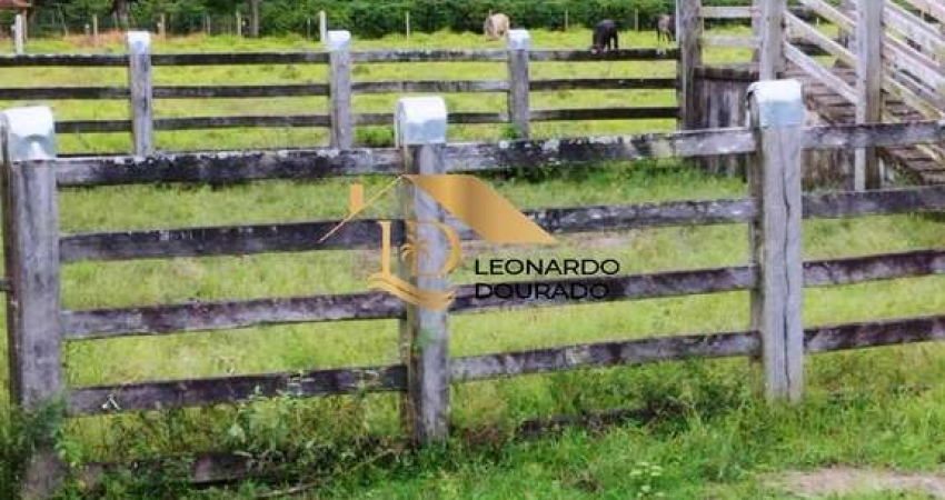 Fazenda com 2 salas à venda na BOCA DO CÓRREGO, Santa Maria Eterna, Belmonte