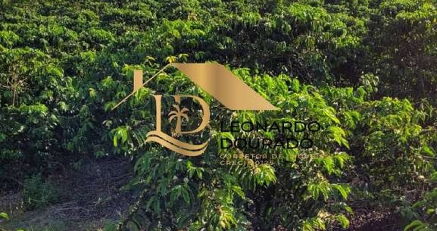 Fazenda com 2 salas à venda na SANTA LUZIA, Zona Rural, Santa Luzia