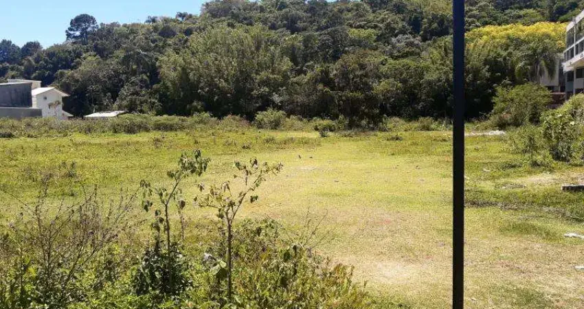 Terreno comercial à venda na AV LUIZ B PIAZZA, 5286, Cachoeira do Bom Jesus, Florianópolis