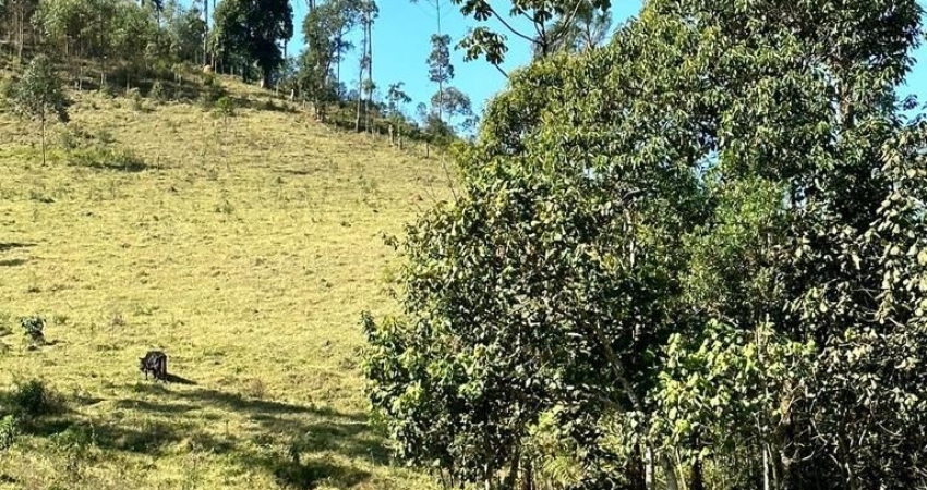 Terreno com excelente topografia
