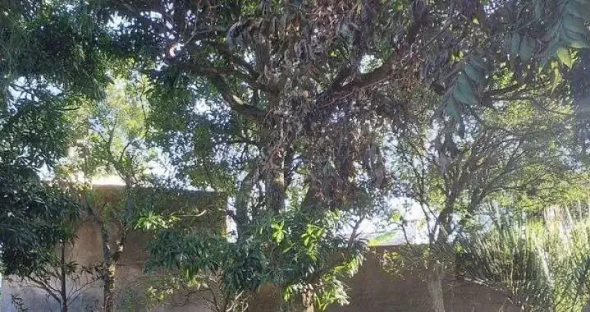 Terreno/lote à venda no bairro menino deus com 0 dormitórios/quartos disponível.