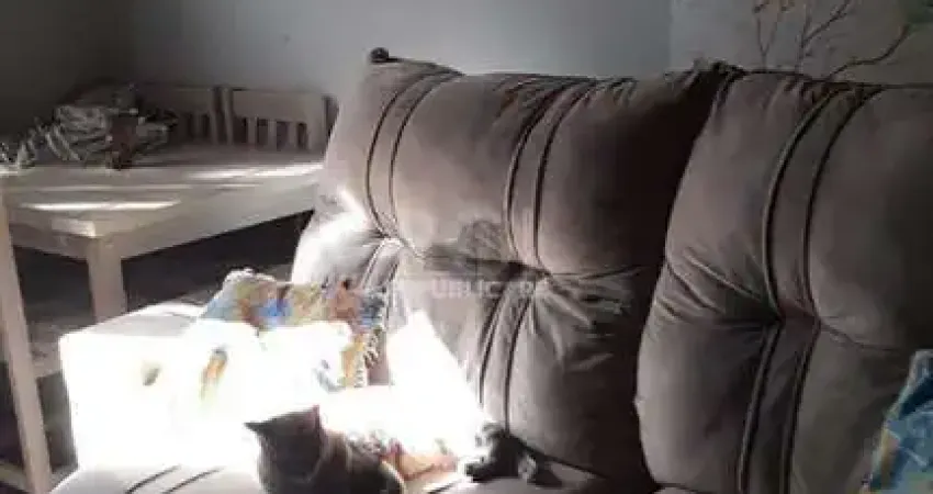 Apartamento à venda no bairro camaquã com 51 m² e 2 dormitórios/quartos disponíveis.