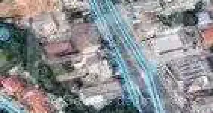 Terreno em cavalhada à venda com área disponível para construção, sem dormitórios.