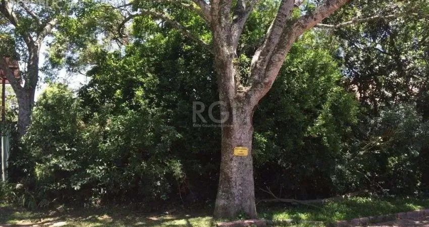 Terreno à venda no bairro teresópolis com 0 dormitórios/quartos e área disponível.