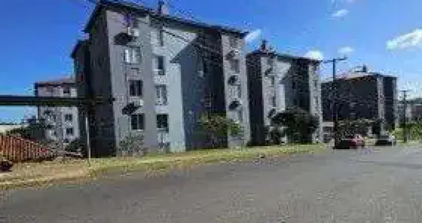 Apartamento à venda no bairro morro santana com 43m² e 2 dormitórios/quartos.