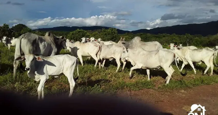 Fazenda com 2 salas à venda na Centro, 1346, Zona Rural, Barra do Bugres