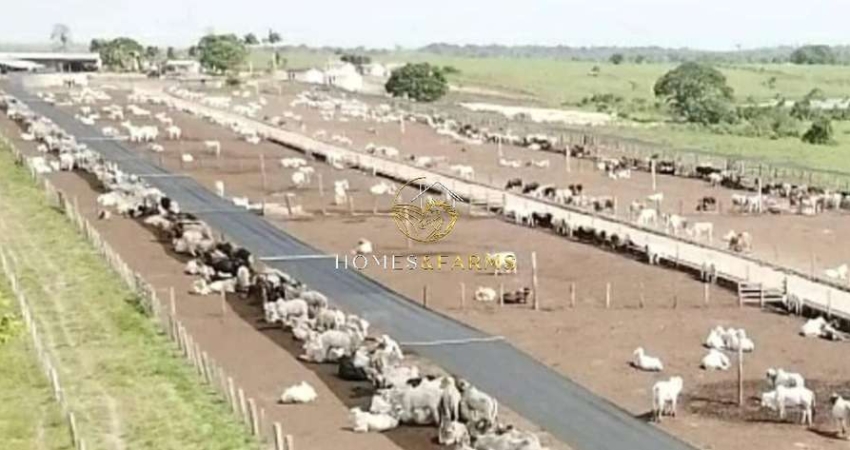 Fazenda com 2 salas à venda na Avenida dos Três Poderes, 156, Centro, Tomé-Açú