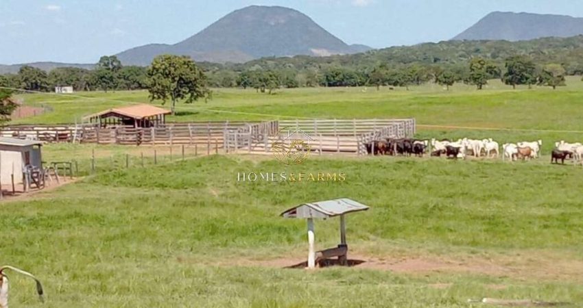 Fazenda com 2 salas à venda na AVENIDA PRINCIPAL, SN, Centro, Nobres