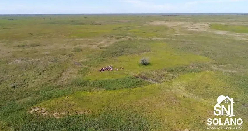 Fazenda à venda na Centro, 1234, Zona Rural, Poconé