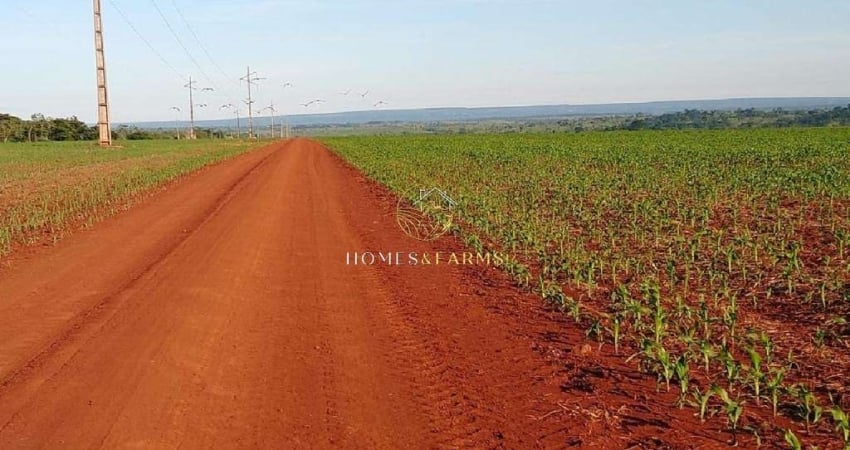 Fazenda com 2 salas à venda na Centro, 157, Jardim Acacia, Tangará da Serra