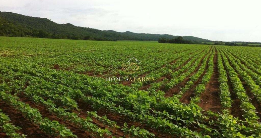 Fazenda com 2 salas à venda na Avenida principal, 1426, Centro, Nobres