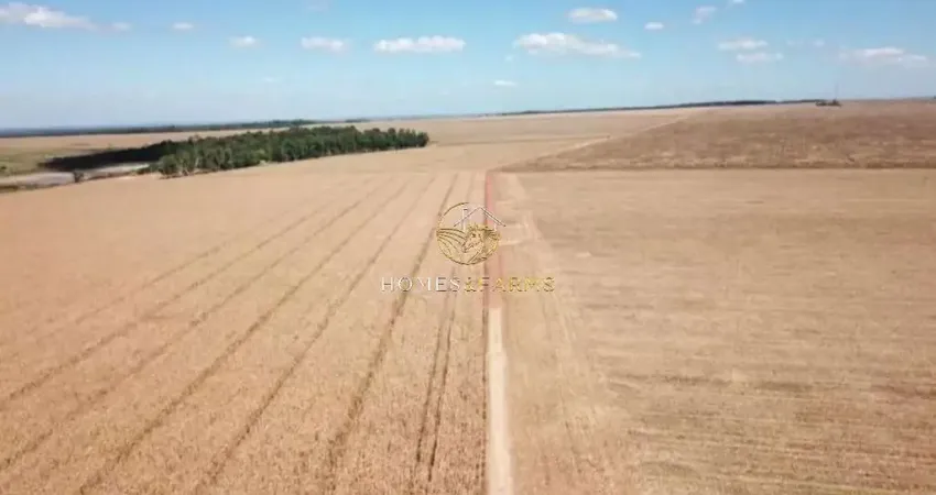 Fazenda com 2 salas à venda na Centro, Zona Rural, Confresa