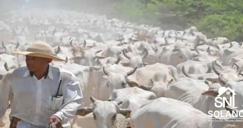 Espetacular fazenda bodoquena a venda com 45.000 / 49.000 hectares na região oeste de ms.