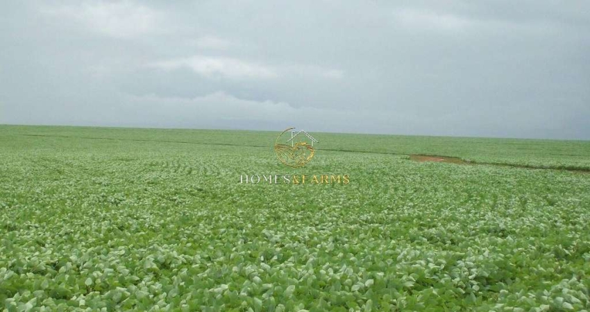 BELÍSSIMA FAZENDA EM SANTANA ARAGUAIA - PA