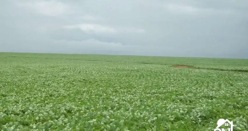 Fazenda à venda na Av Principal, SN, Zona Rural, Santana do Araguaia
