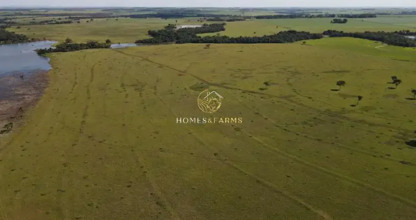 Fazenda com 2 salas à venda na Avenida Principal, Sn, Zona Rural, Turvelândia