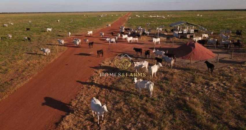 Fazenda 33 mil há na região de Porto Alegre do Norte MT