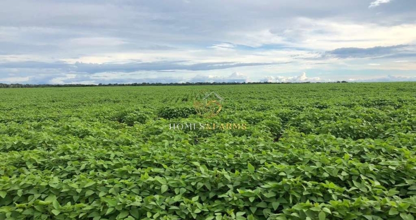 Ótima Fazenda à venda na região de Confresa-MT. Cidades próximas  Santa Terezinha, Vila Rica, Porto Alegre do Norte.