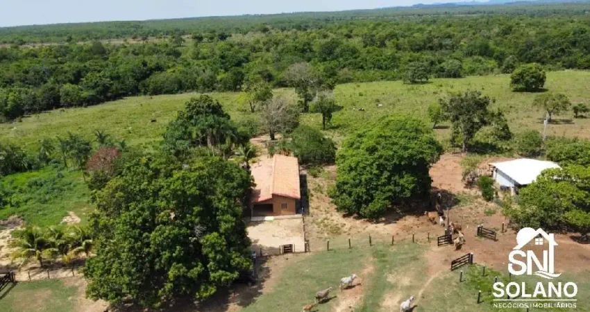 Fazenda dupla aptidão plantação e pecuária palmeiropolis - go