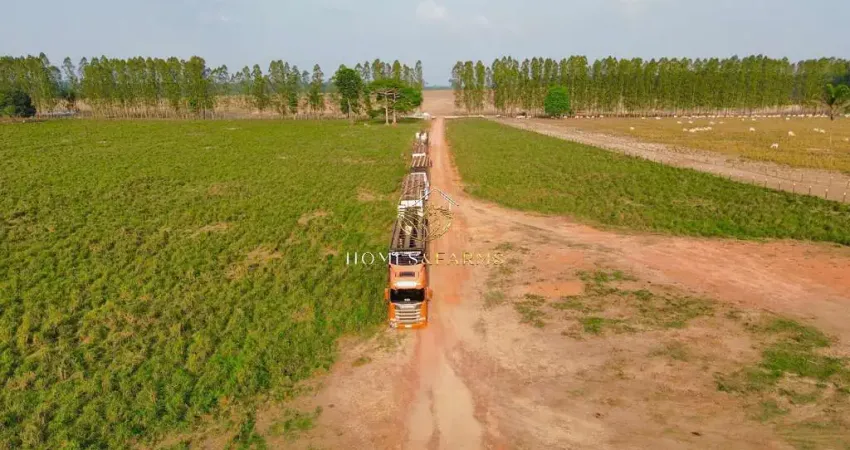 Fazenda com 2 salas à venda na Rua Bernal do Couto, SN, Umarizal, Belém