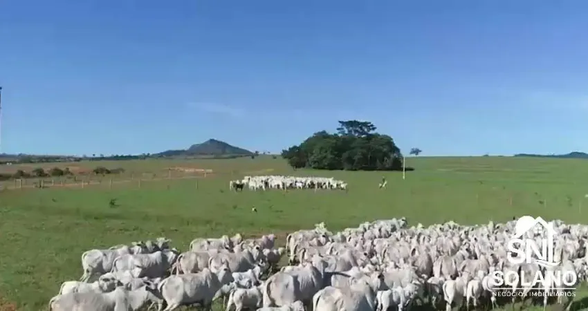 Fazenda com 2 salas à venda na AV PRINCIPAL, SN, Zona Rural, Caiapônia