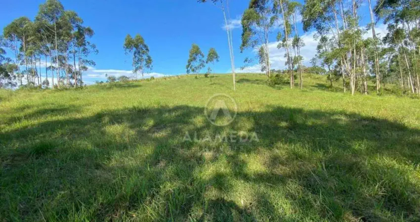 Terreno à venda, 85000 m² por R$ 5.400.000,08 - Gasparinho - Gaspar/SC