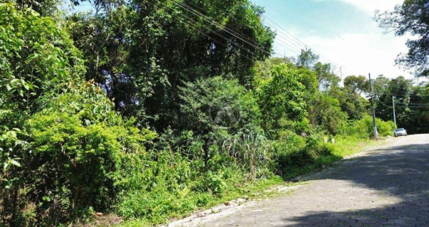 Terreno à venda, 1387 m² por R$ 250.000,00 - Garcia - Blumenau/SC
