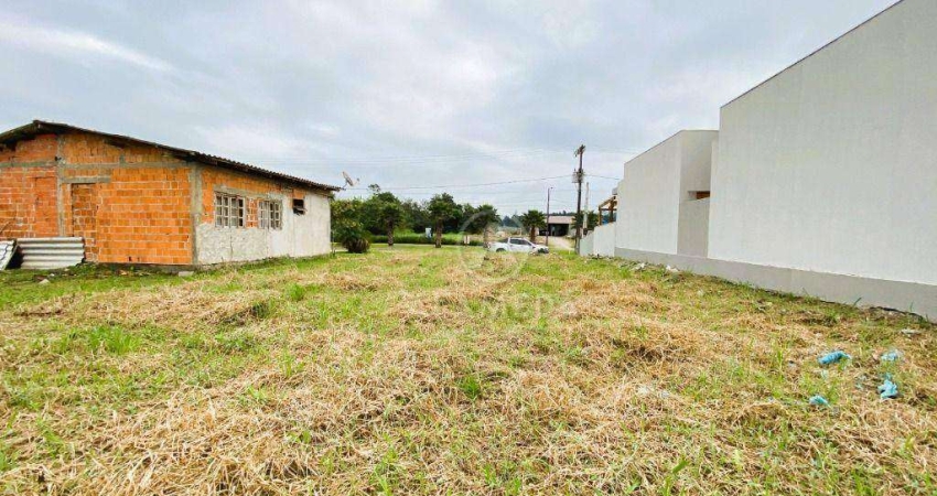 Terreno à venda, 360 m² por R$ 199.000,01 - Figueira - Gaspar/SC