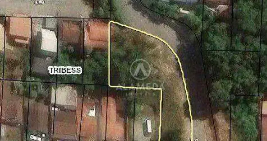 Terreno à venda, 1159 m² por R$ 800.000,00 - Tribess - Blumenau/SC