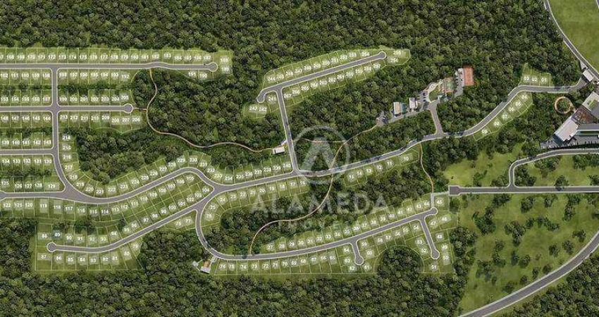 Terreno à venda, 786 m² por R$ 1.300.000 - Ponta Aguda - Blumenau/SC