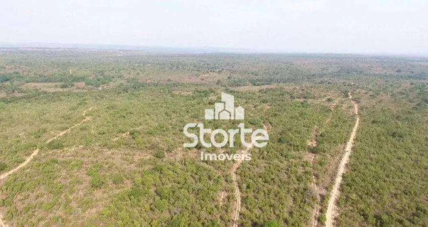 Fazenda à venda, 1694000 m² por r$ 2.000.000,00 - área rural alvorada do norte - alvorada do norte/go