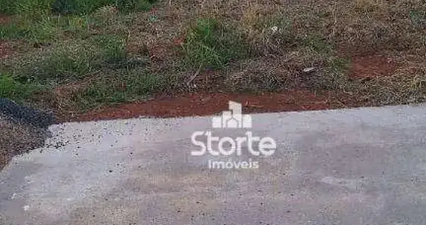 Terreno à venda, 312 m² por r$ 240.000,00 - novo mundo - uberlândia/mg