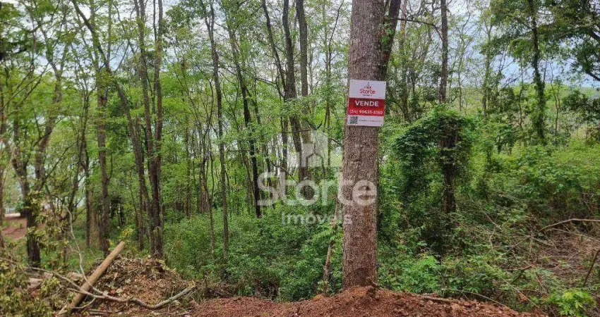 Chácaras à venda, 3000 m² por r$ 180.000 - área rural - uberlândia/mg