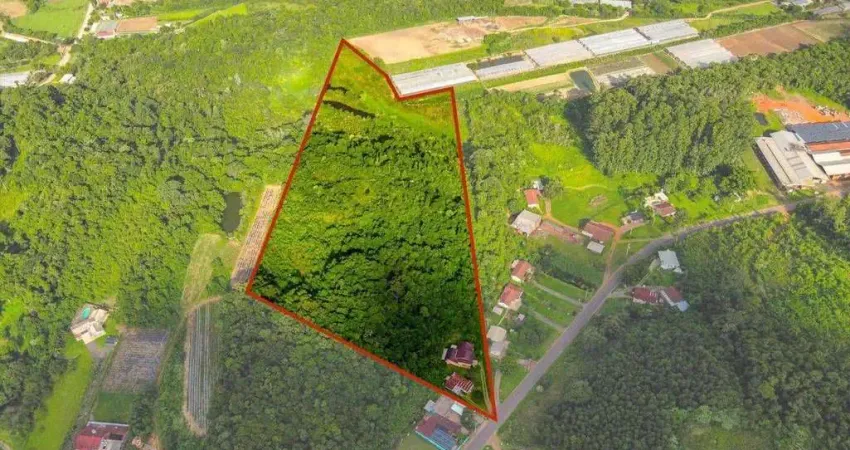 Chácara / sítio com 3 quartos à venda no Escadinhas, Feliz