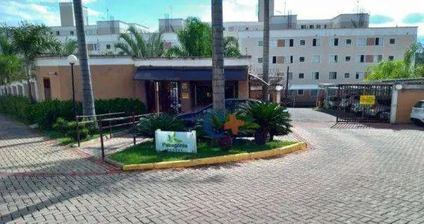 Apartamento com 2 dormitórios à venda, 49 m² por r$ 292.000,00 - residencial patagônia - paulínia/sp