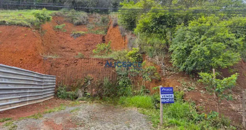 Terreno à venda na Rua Augusto Thielman, Borboleta, Juiz de Fora