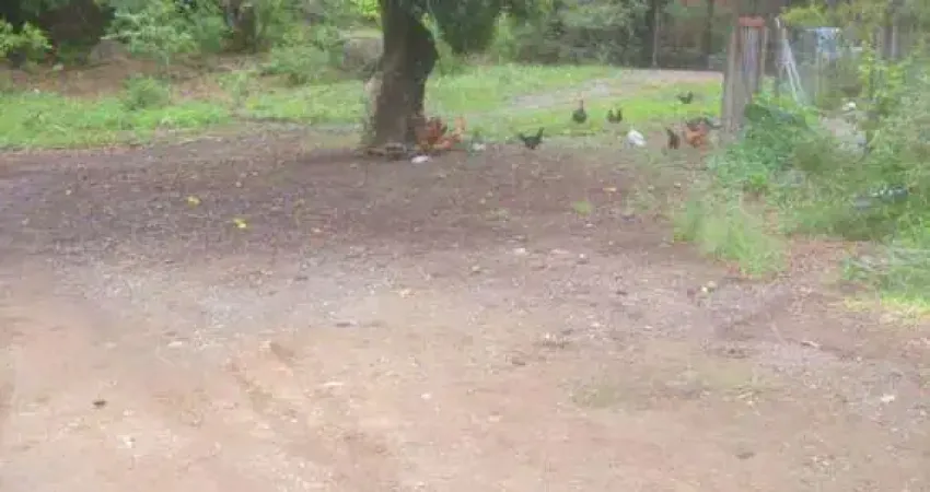 Terreno à venda na Rua Leonilda Carnassa Figueiredo, 115, Tabuazeiro, Vitória