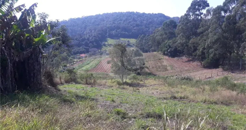 Terreno comercial à venda no Centro (Canguera), São Roque 