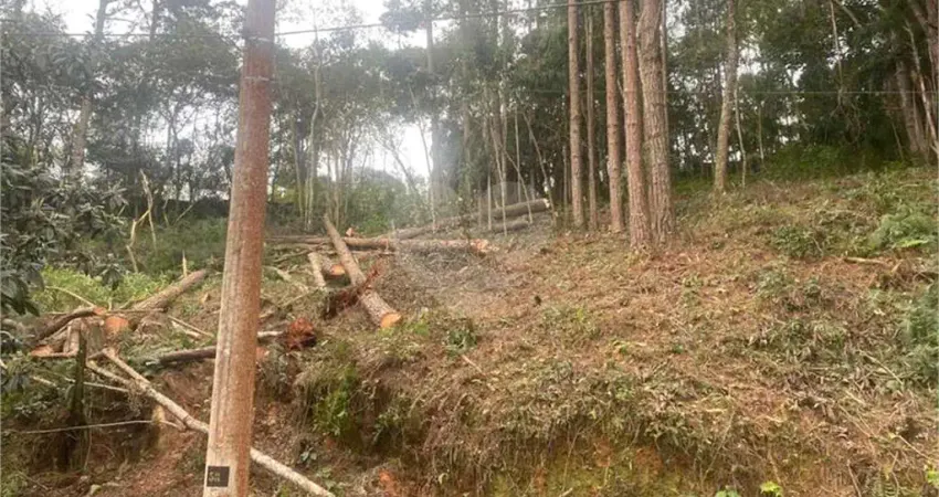 Terreno à venda no Centro (Mailasqui), São Roque 