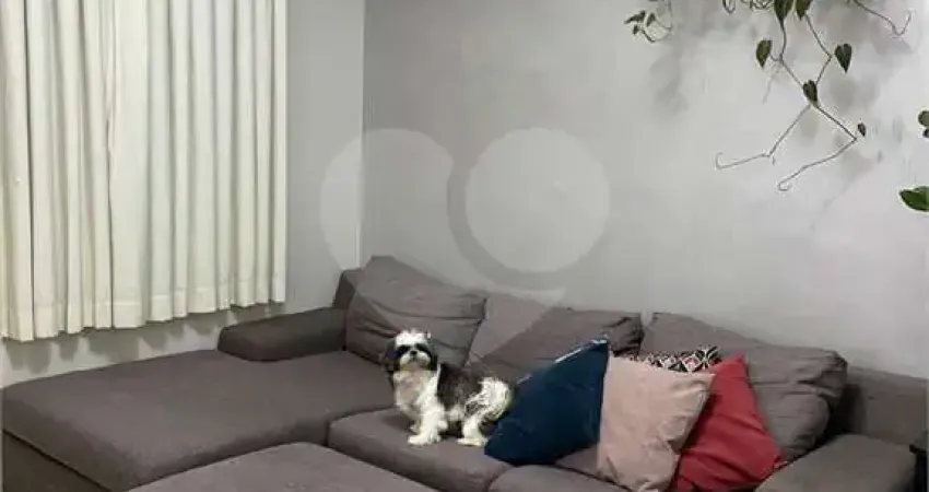 Terreno em condomínio fechado à venda no Jardim Boa Vista, São Roque 