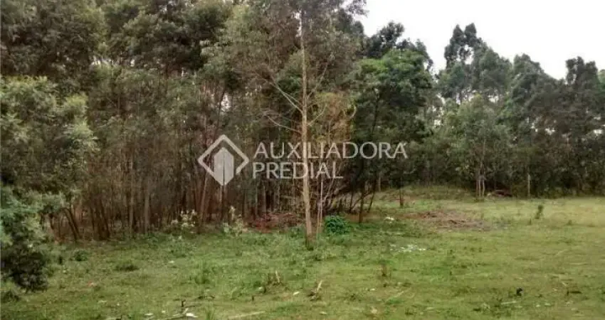 Terreno comercial à venda na Estrada Particular Sadae Takagi, 1, Cooperativa, São Bernardo do Campo