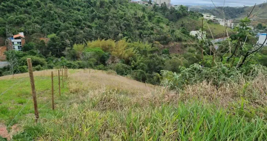 Terreno à venda na Rua Professora Verônica Lucy Coutinho Lage, Recanto da Mata, Juiz de Fora