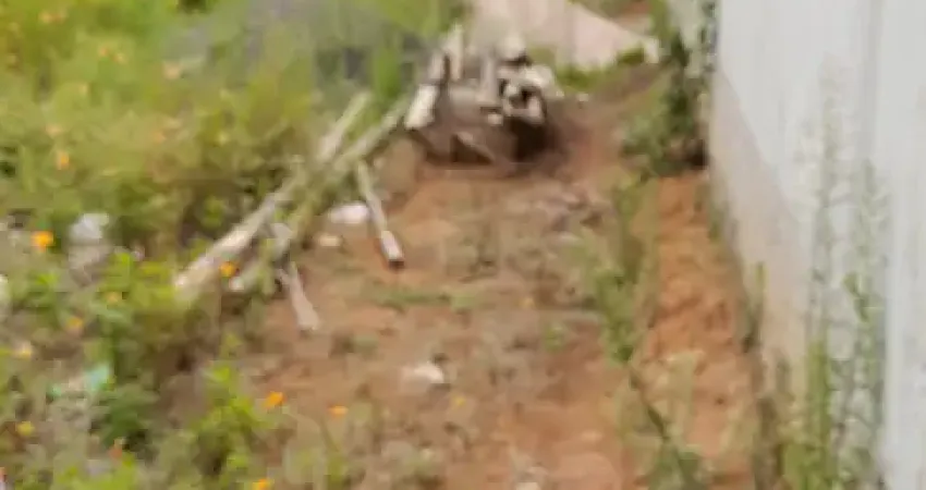 Ótima localização, excelente topografia, terreno murado e escriturado