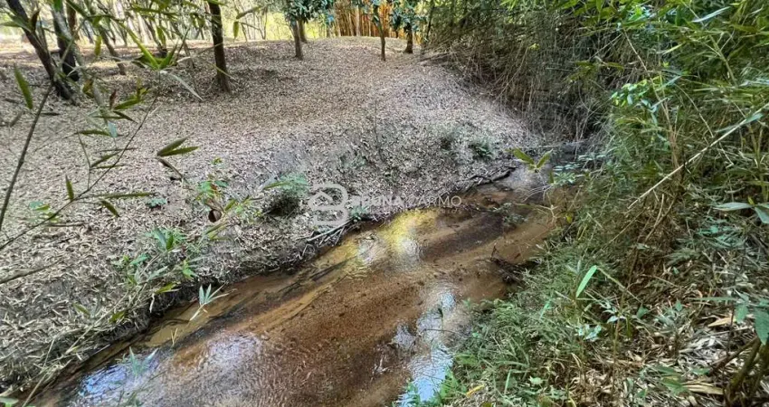 Terreno com 13.300 m² para você construir, investir ou desfrutar da natureza!