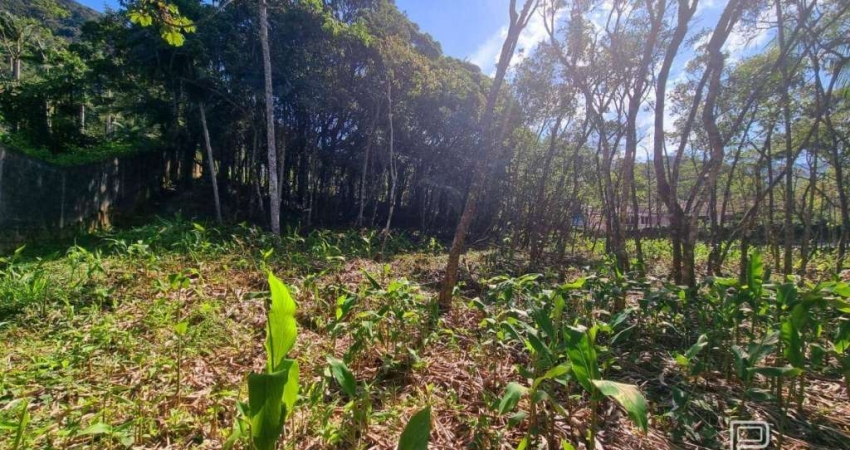 Terreno à venda, 4430 m² por R$ 1.300.000,00 - Comary - Teresópolis/RJ