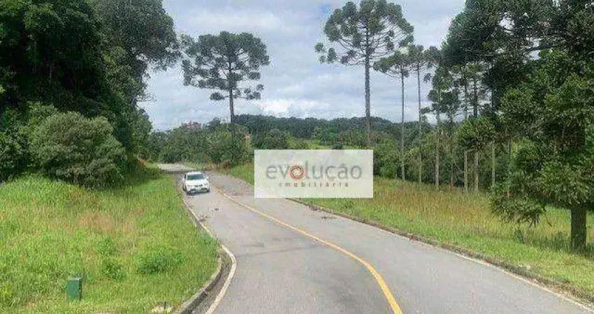 Terreno em condomínio fechado à venda na Rua Araruna, 48, Vila Conceição, Campo Largo